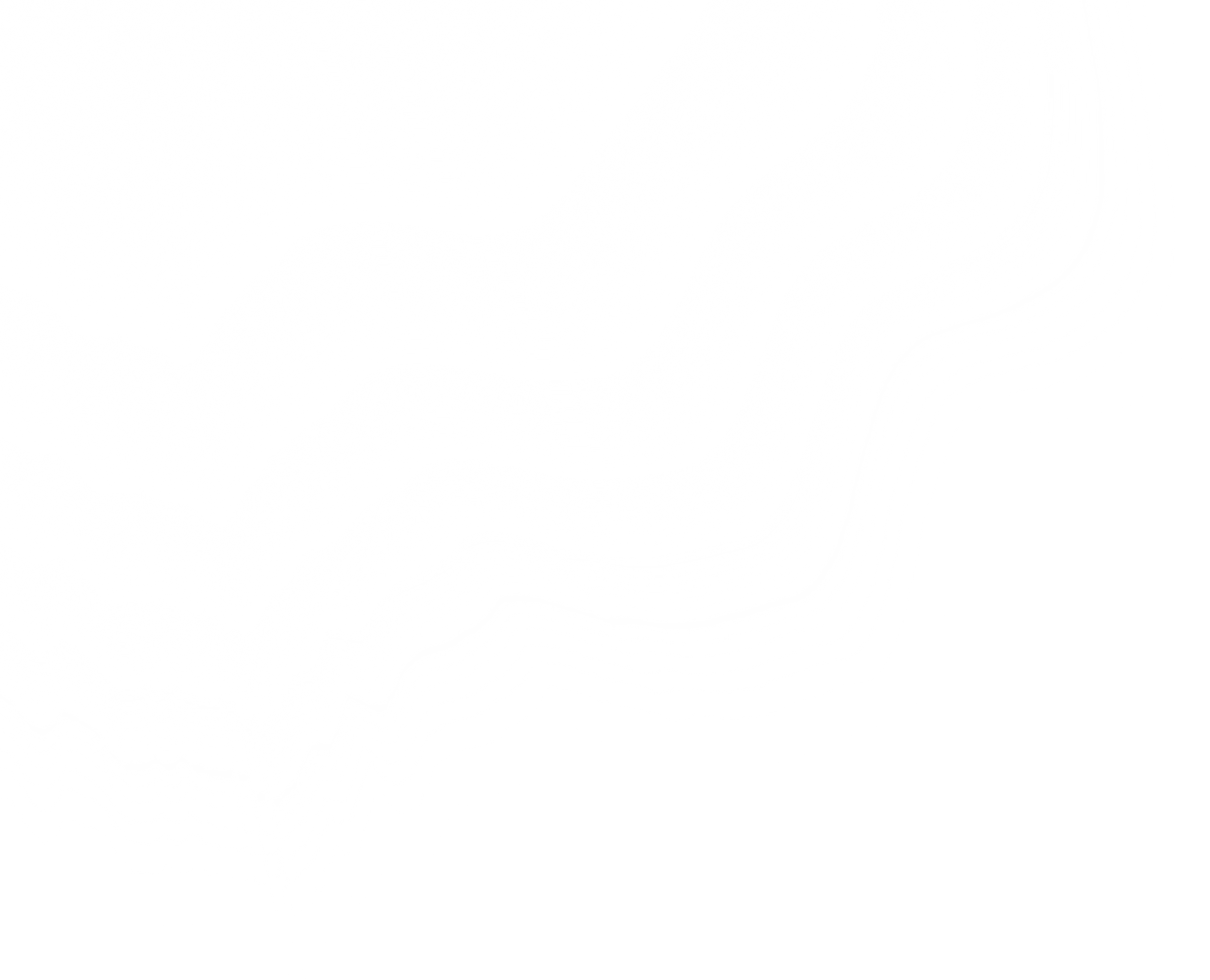 transparent sunlight special lens flash light effect